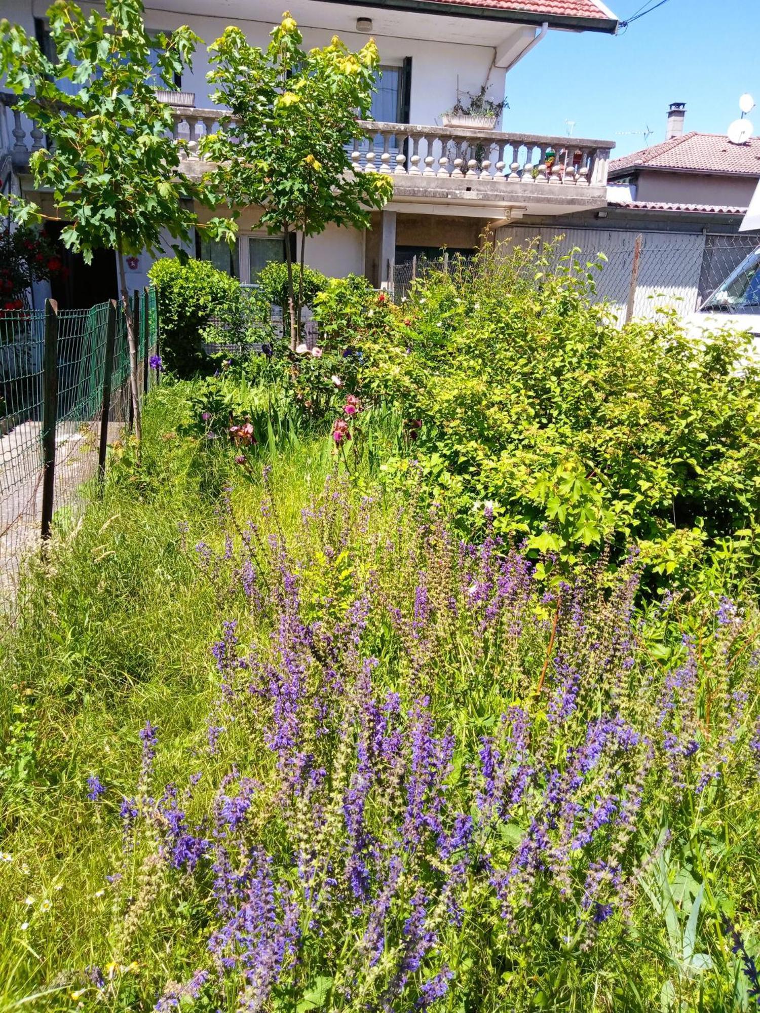 Rosalie Cottage Beaurepaire  Exteriér fotografie